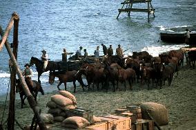 Running Free (1999)