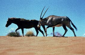 Running Free (1999)