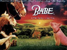 Babe (1995)