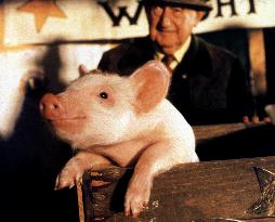 Babe (1995)