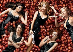 Desperate Housewives :Season 2 (2005)
