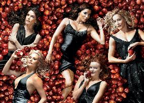 Desperate Housewives :Season 2 (2005)