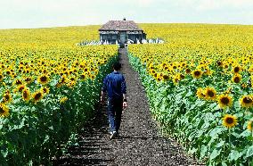 Everything Is Illuminated (2005)