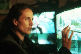 Harrison's Flowers (2000)