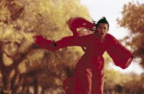 Hero; Ying Xiong (2002)