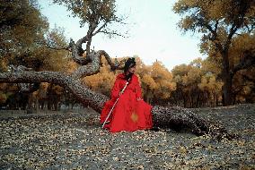 Hero; Ying Xiong (2002)