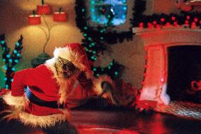 How The Grinch Stole Christmas (2000)