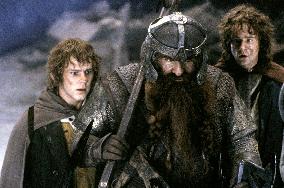 Lord Of The Rings: The Fellows (2001)