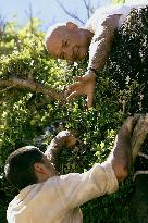 Lost : Season 1 (2004)