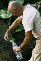 Lost : Season 1 (2004)