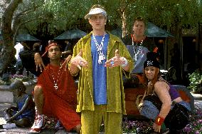 Malibu's Most Wanted (2003)