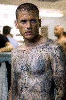 Prison Break : Season 1 (2005)