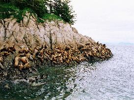 Sacred Planet (2004)