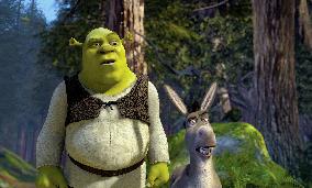 Shrek 2 (2004)