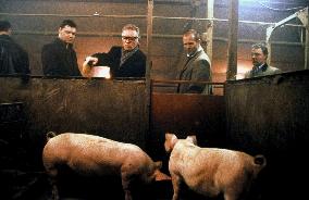 Snatch. (2000)