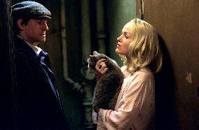 Spider (2002)