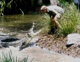 The Crocodile Hunter:Collision (2002)