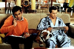 Van Wilder (2002)