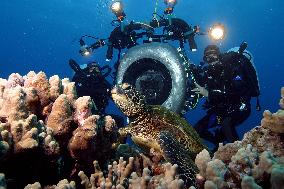 Deep Sea (2006)