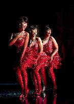 Dreamgirls (2006)