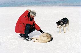 Eight Below (2006)