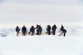 Eight Below (2006)