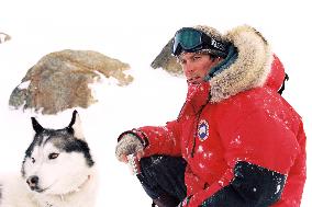 Eight Below (2006)