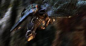 Eragon (2006)