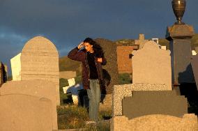 Half Light (2006)