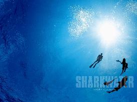 Sharkwater (2006)