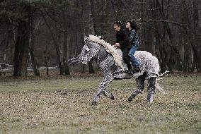 The Science Of Sleep (2006)