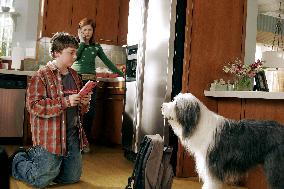 The Shaggy Dog (2006)