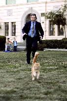 The Shaggy Dog (2006)