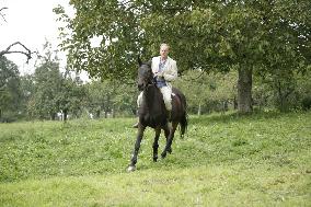 Runaway Horse (2007)