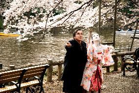 Cherry Blossoms (2008)