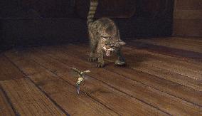 The Golden Compass (2007)