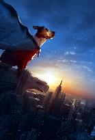 Underdog (2007)