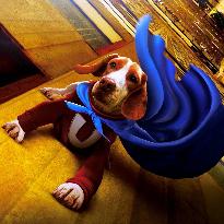 Underdog (2007)