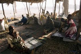 Darfur Now (2007)