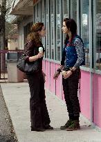 Sunshine Cleaning (2008)