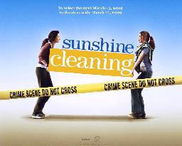Sunshine Cleaning (2008)