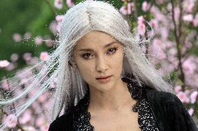 The Forbidden Kingdom (2008)