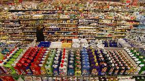 Plastic Planet (2009)