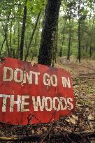 Don'T Go In The Woods (2010)