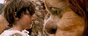 Where The Wild Things Are (2009)