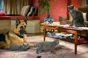 Cats & Dogs: The Revenge Of (2010)