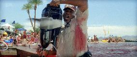 Piranha 3d (2010)