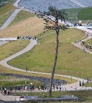 Tokyo Olympic torch relay