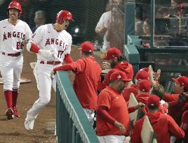 Baseball: Tigers vs. Angels