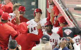 Baseball: Tigers vs. Angels